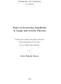 Cover page: Topics in Scattering Amplitudes in Gauge and Gravity Theories