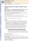 Cover page: CaMKII phosphorylation of neuroligin-1 regulates excitatory synapses