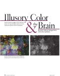 Cover page: Illusory Color &amp; the Brain