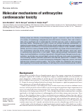 Cover page: Molecular mechanisms of anthracycline cardiovascular toxicity