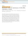 Cover page: Mechanistic basis for maintenance of CHG DNA methylation in plants.