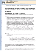 Cover page: A forebrain-retrorubral pathway involved in male sex behavior is GABAergic and activated with mating in gerbils