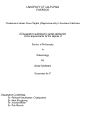 Cover page: Predators of Asian Citrus Psyllid (Diaphorina citri) in Southern California