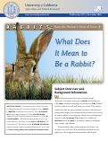 Cover page: Rabbits - From the Animal's Point of View, 1: What Does It Mean to Be a Rabbit?