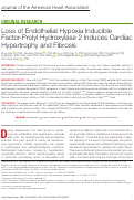 Cover page: Loss of Endothelial Hypoxia Inducible Factor‐Prolyl Hydroxylase 2 Induces Cardiac Hypertrophy and Fibrosis