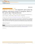 Cover page: Publisher Correction: An epigenetic gene silencing pathway selectively acting on transgenic DNA in the green alga Chlamydomonasis.