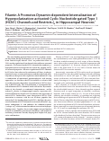 Cover page: Filamin A Promotes Dynamin-dependent Internalization of Hyperpolarization-activated Cyclic Nucleotide-gated Type 1 (HCN1) Channels and Restricts I h in Hippocampal Neurons*