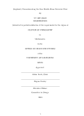 Cover page: Singularity Formation along the Line Bundle Mean Curvature Flow