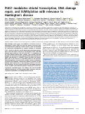 Cover page: Correction for Morozko et al., PIAS1 modulates striatal transcription, DNA damage repair, and SUMOylation with relevance to Huntington’s disease