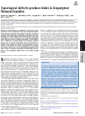 Cover page: Topological defects produce kinks in biopolymer filament bundles