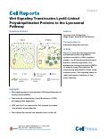 Cover page: Wnt Signaling Translocates Lys48-Linked Polyubiquitinated Proteins to the Lysosomal Pathway