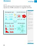 Cover page: Electrically synchronizing and modulating the dynamics of ERK activation to regulate cell fate