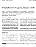 Cover page: Comparative expression of NFkappaB proteins in melanocytes of normal skin vs. benign intradermal naevus and human metastatic melanoma biopsies.