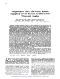 Cover page: Morphological effects of coronary balloon angioplasty in vivo assessed by intravascular ultrasound imaging.