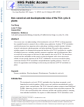 Cover page: Non-canonical and developmental roles of the TCA cycle in plants.