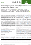 Cover page: Calcium signaling from damaged lysosomes induces cytoprotective stress granules.