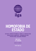 Cover page: Homofobia De Estado