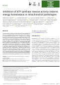 Cover page: Inhibition of ATP synthase reverse activity restores energy homeostasis in mitochondrial pathologies