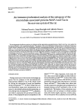 Cover page: An immunocytochemical analysis of the ontogeny of the microtubule-associated proteins MAP-2 and Tau in the nervous system of the rat.