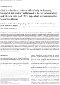 Cover page: Glial scar borders are formed by newly proliferated, elongated astrocytes that interact to corral inflammatory and fibrotic cells via STAT3-dependent mechanisms after spinal cord injury.