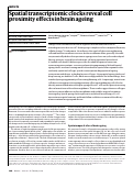 Cover page: Spatial transcriptomic clocks reveal cell proximity effects in brain ageing.