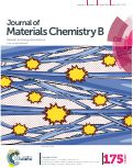 Cover page: Ultrastrong and flexible hybrid hydrogels based on solution self-assembly of chitin nanofibers in gelatin methacryloyl (GelMA)