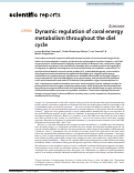 Cover page: Dynamic regulation of coral energy metabolism throughout the diel cycle
