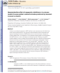 Cover page: Neuroprotective effect of aquaporin-4 deficiency in a mouse model of severe global cerebral ischemia produced by transient 4-vessel occlusion