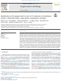 Cover page: Identification of the pigment and its role in UV resistance in Paecilomyces variotii, a Chernobyl isolate, using genetic manipulation strategies