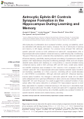 Cover page: Astrocytic Ephrin-B1 Controls Synapse Formation in the Hippocampus During Learning and Memory