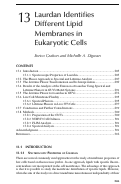 Cover page: Laurdan Identifies Different Lipid Membranes in Eukaryotic Cells