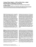 Cover page: Cloning of mouse integrin alphaV cDNA and role of the alphaV-related matrix receptors in metanephric development.