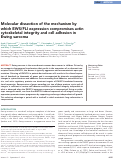 Cover page: Molecular dissection of the mechanism by which EWS/FLI expression compromises actin cytoskeletal integrity and cell adhesion in Ewing sarcoma