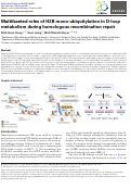 Cover page of Multifaceted roles of H2B mono-ubiquitylation in D-loop metabolism during homologous recombination repair