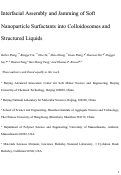 Cover page: Interfacial Assembly and Jamming of Soft Nanoparticle Surfactants into Colloidosomes and Structured Liquids