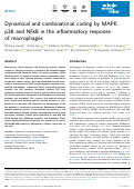 Cover page: Dynamical and combinatorial coding by MAPK p38 and NFκB in the inflammatory response of macrophages.