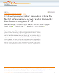 Cover page: CrkII/Abl phosphorylation cascade is critical for NLRC4 inflammasome activity and is blocked by Pseudomonas aeruginosa ExoT