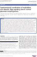 Cover page: Spatiotemporal coordination of trophoblast and allantoic Rbpj signaling directs normal placental morphogenesis.