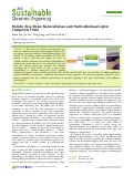 Cover page: Holistic Rice Straw Nanocellulose and Hemicelluloses/Lignin Composite Films