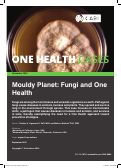 Cover page: Mouldy Planet: Fungi and One Health