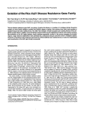 Cover page: Evolution of the rice Xa21 disease resistance gene family.