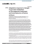 Cover page: Adaptative response to changes in pyruvate metabolism on the epigenetic landscapes and transcriptomics of bovine embryos.