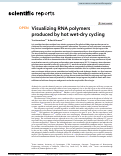 Cover page: Visualizing RNA polymers produced by hot wet-dry cycling.