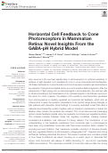 Cover page: Horizontal Cell Feedback to Cone Photoreceptors in Mammalian Retina: Novel Insights From the GABA-pH Hybrid Model
