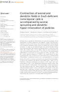 Cover page: Contraction of axonal and dendritic fields in Sox5-deficient cone bipolar cells is accompanied by axonal sprouting and dendritic hyper-innervation of pedicles