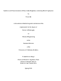 Cover page: Synthesis and Characterization of Poly(3-alkylthiophene)-containing Block Copolymers