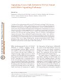 Cover page: Signaling Cross Talk between TGF-β/Smad and Other Signaling Pathways