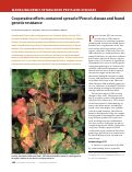 Cover page: Cooperative efforts contained spread of Pierce's disease and found genetic resistance