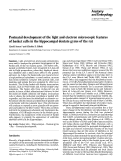 Cover page: Postnatal development of the light and electron microscopic features of basket cells in the hippocampal dentate gyrus of the rat