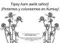 Cover page of Tipey Aam Awilk Tañorj! ('¡Pintemos y coloreemos en Kumiay!')